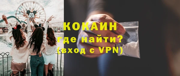 сатива Ростов