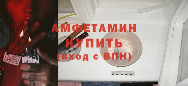 сатива Ростов